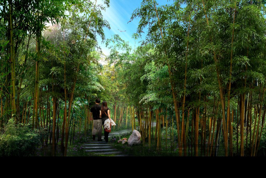 竹林橙子黄色视频景观设计http://ydyl.genericsummit.com/ 竹林橙子黄色视频景观设计http://ydyl.genericsummit.com/